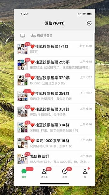 互投6 (1)